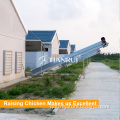 Hot Sell Automatic H Type Egg Chicken Poultry Farming Equipment